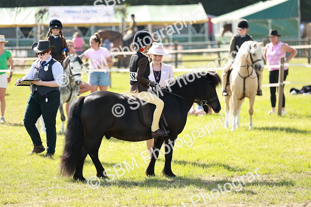 SBM_12585 - Class 106-107 - BSPS LIHS Working Sports Pony