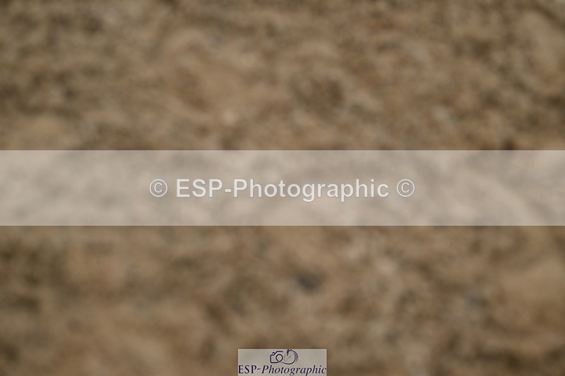 250719A-160704-08060 - Saturday Presentations