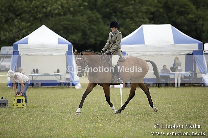 BVR160717-471 - Ring 1 BVRC Show 16/07/17