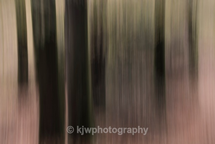 Autumn Colour - Gallery 6