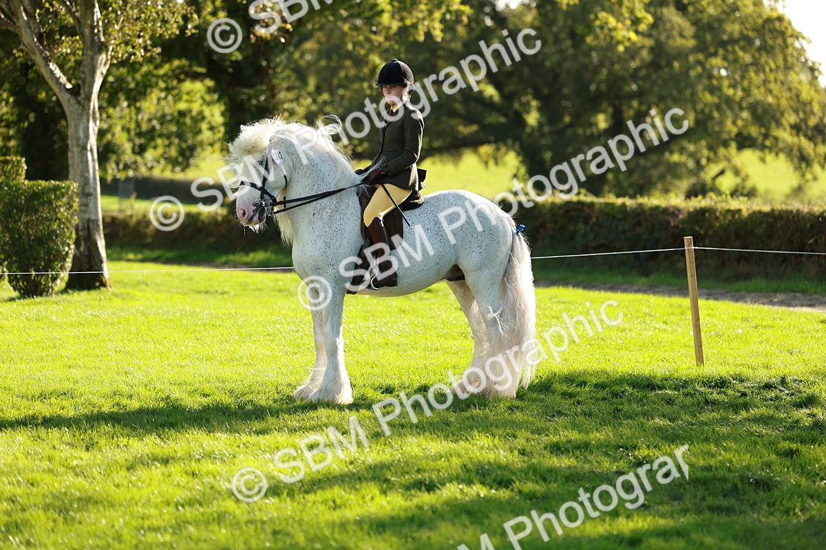 SBM_28734 - S7 - Novice & Newcomer Ridden Pony
