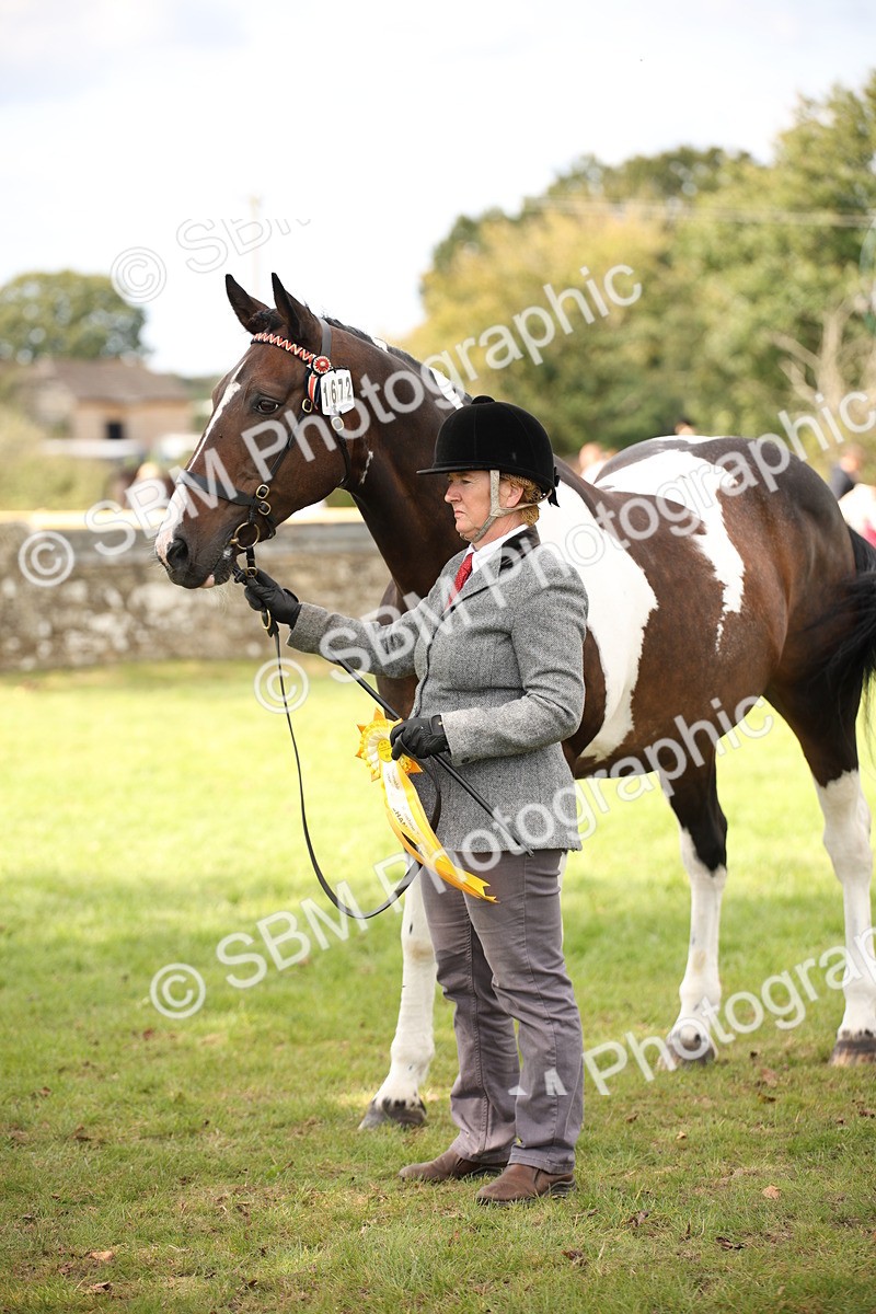 SBM_44530 - S24 - Young Veteran in hand