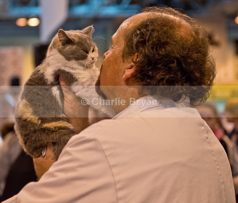  - 40th Supreme Cat Show NEC Birmingham