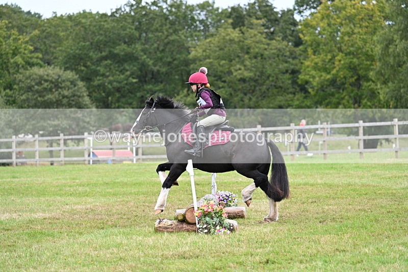 WJ7_7313 - 40cm Time 10:06 to 10:24