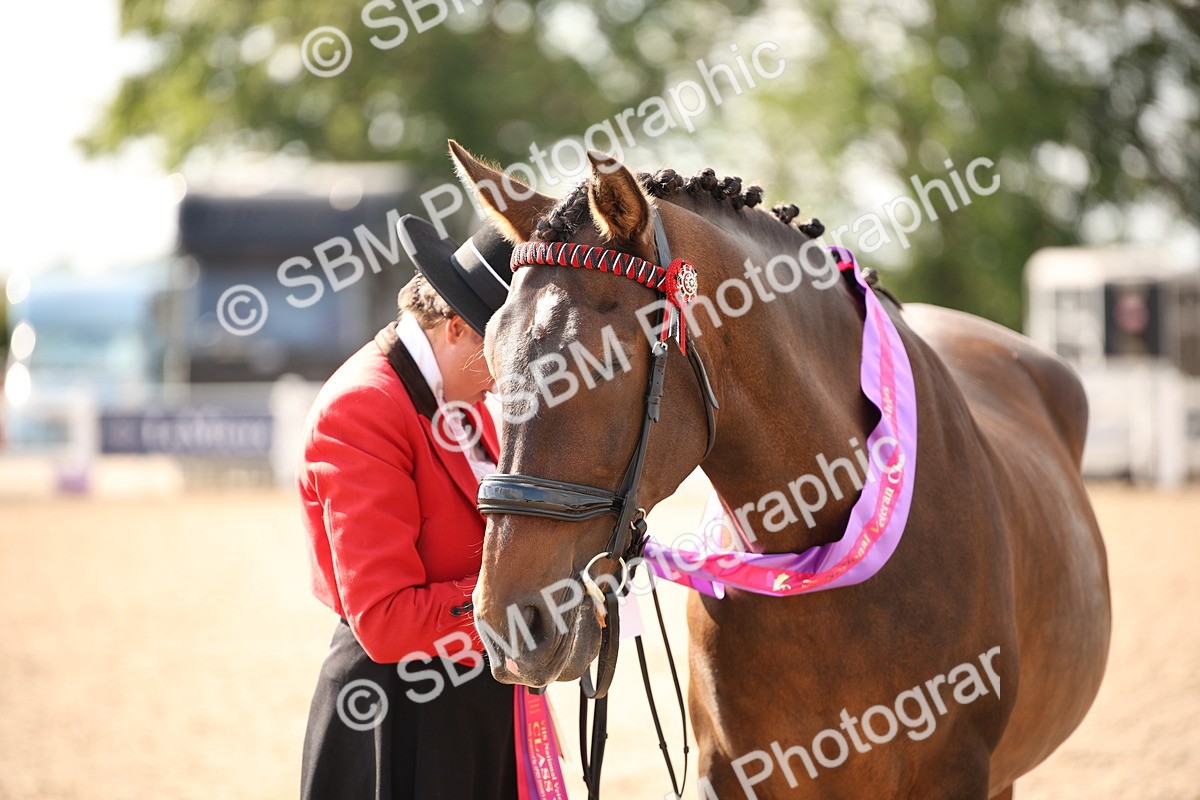 SBM_07437 - Class 26 IH Foreign Breeds -Part bred