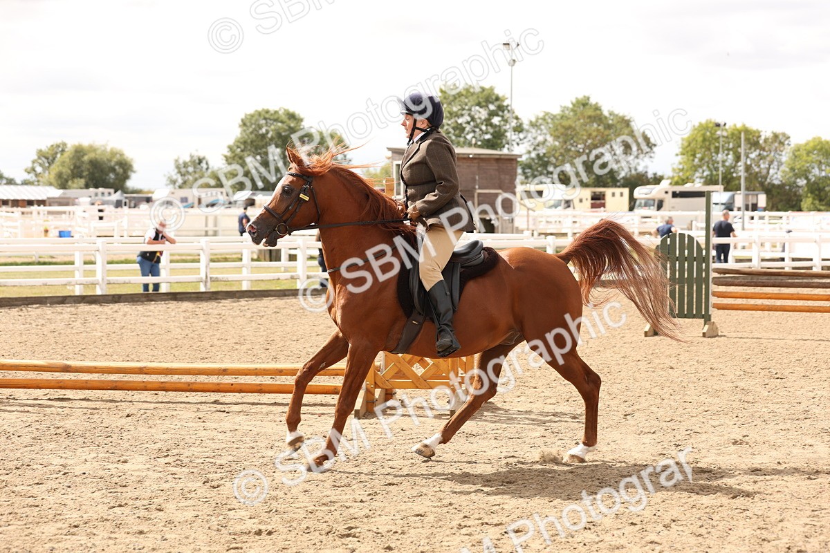 SBM_05224 - Class 56b -  Style & Performance - 50cm (20+)