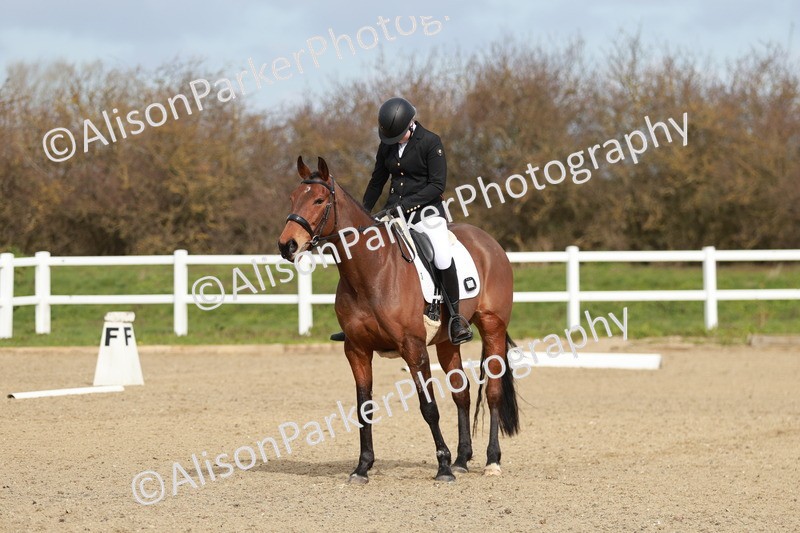 20260314-1157 - DR2 - Intro 3