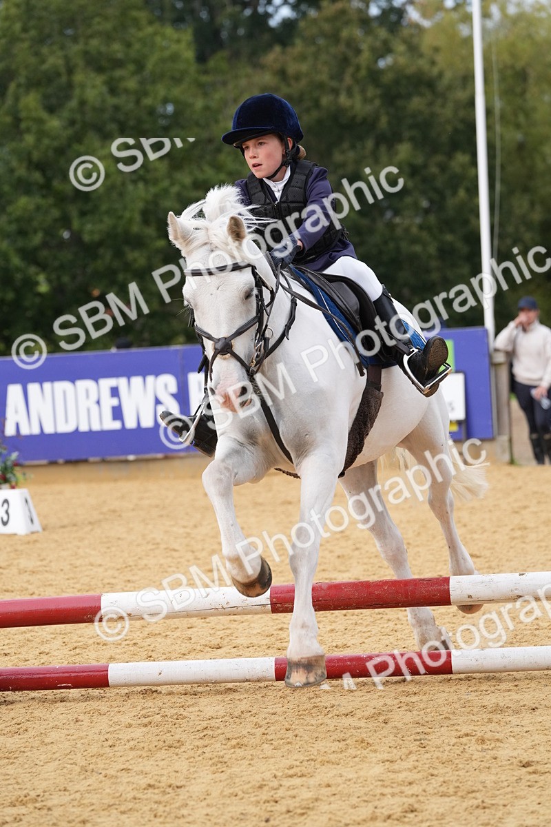 SBM_70660 - J3 - Mini Tour Junior Pony 40cm Championship
