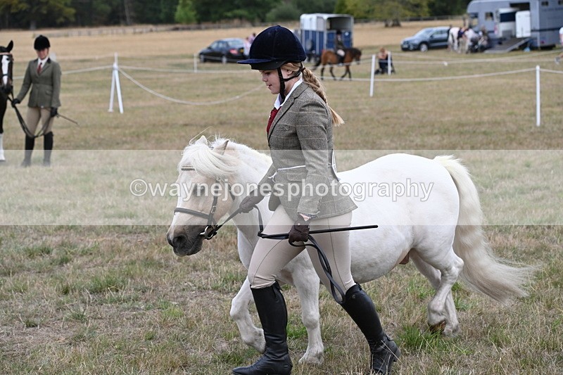 WJ6_6135 - Class 19 In-hand Veterans (Uploaded correct folder)