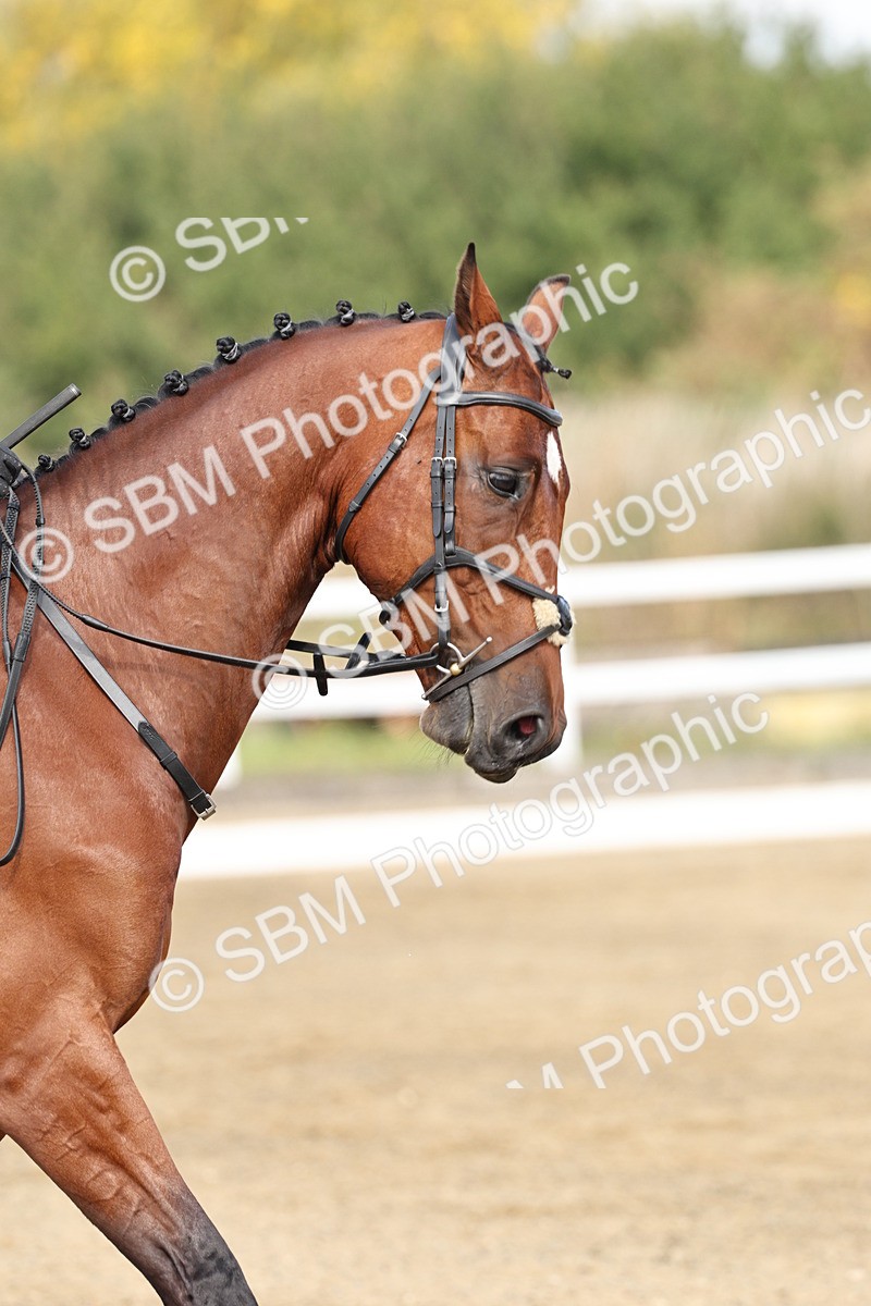 SBM_017448 - Class 12-14 - Intro 2-Prelim 5