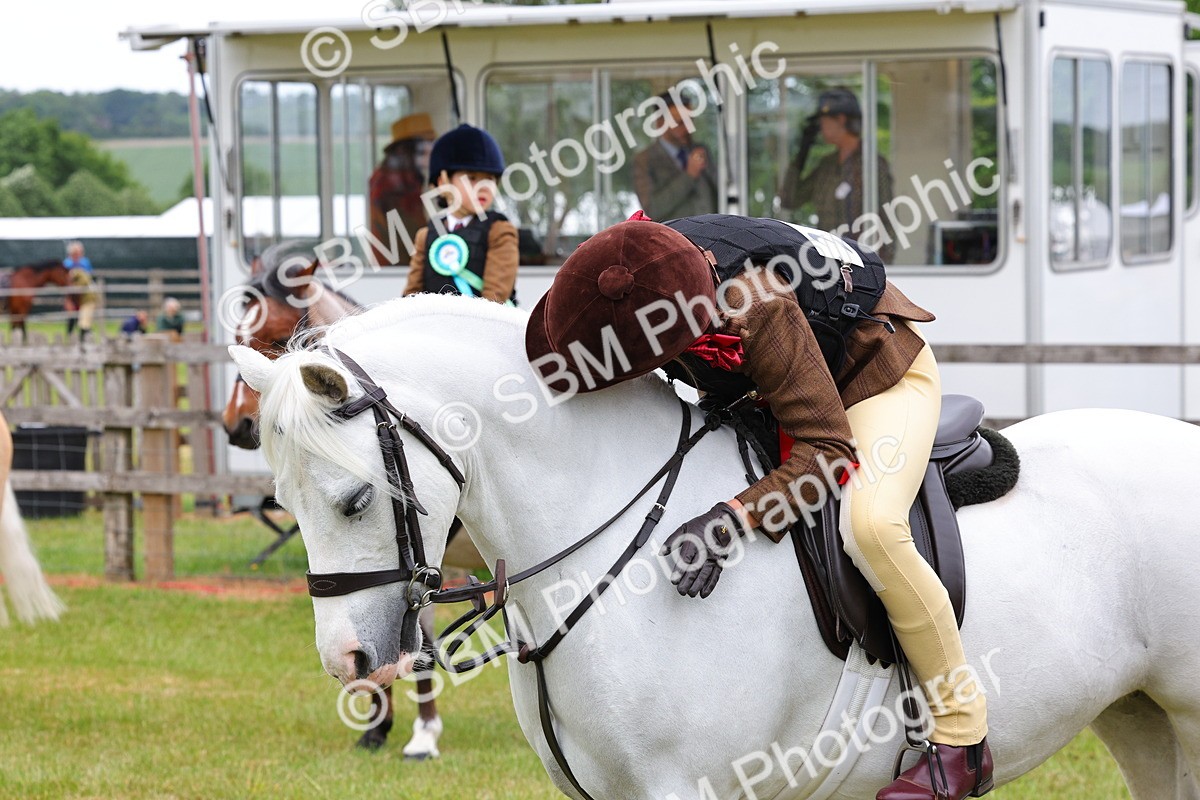 SBM_08875 - Class 42-43 - LIHS BSPS Heritage Working Sports Pony