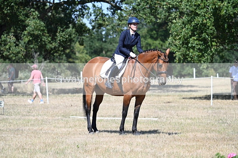 WJ7_0701 - Time 12:03 to 12:23