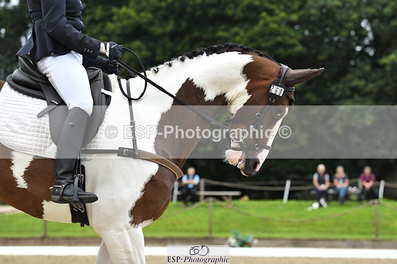 230812-094504-02854 - Cls 6 Novice Silver Start to 10.20 break