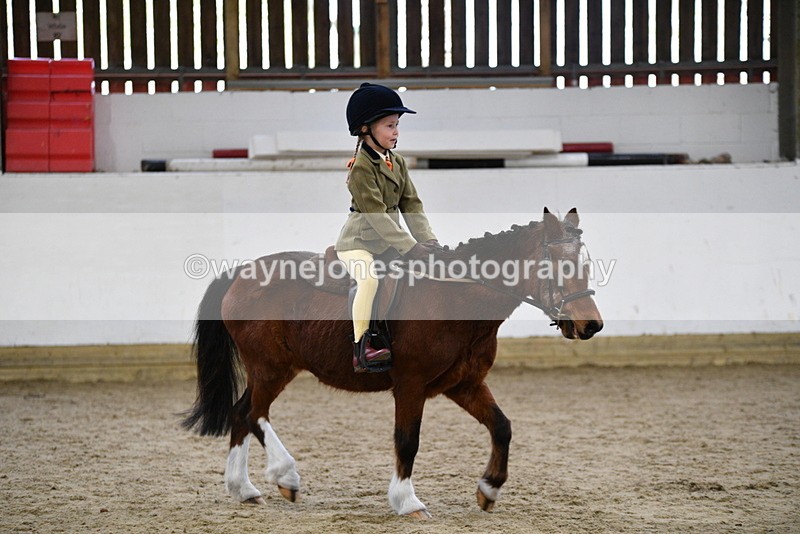 WJ5_6982 - Class 10 Childs Pony