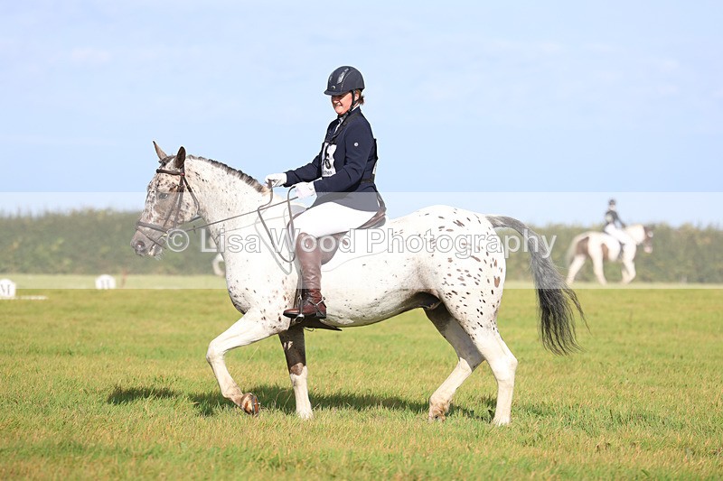3E7A6016 - Class 1: Trebudannon Open: Dressage (Part 2)