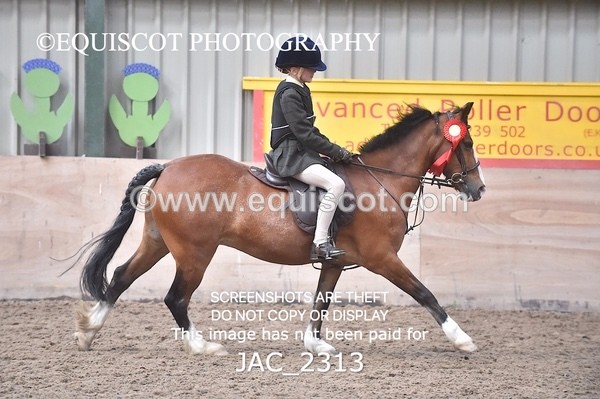 JAC_2313 - CLASS 2 Novice Working Hunter
