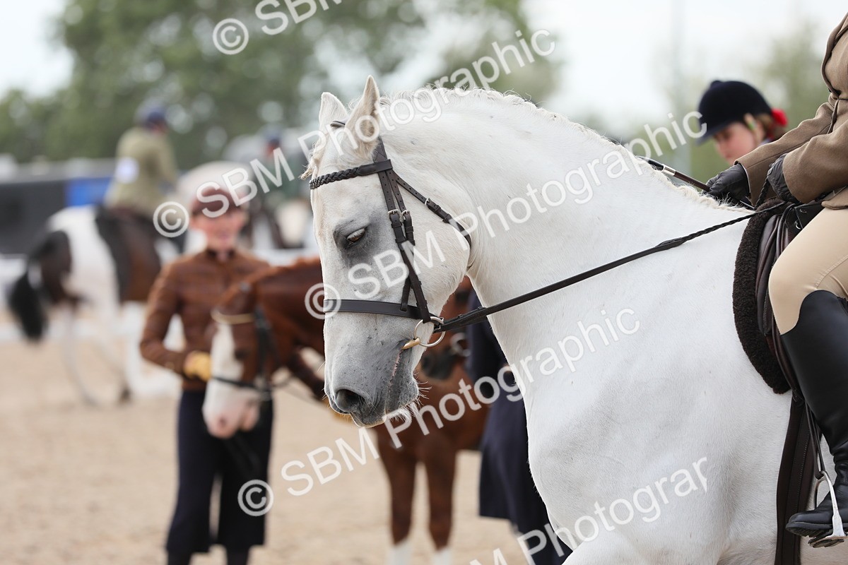 SBM_16876 - Class 314 Family Horse/Pony