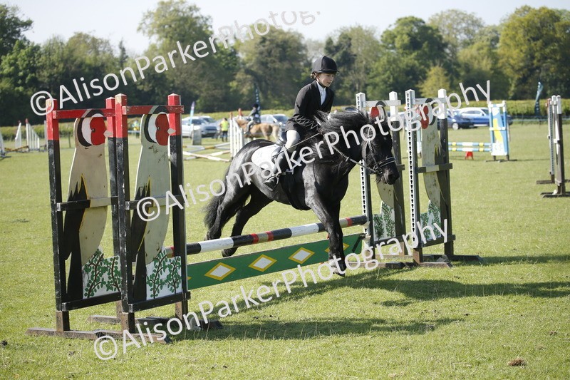 20250427-0402 - Class 12 - Rookie Jumping 40cm