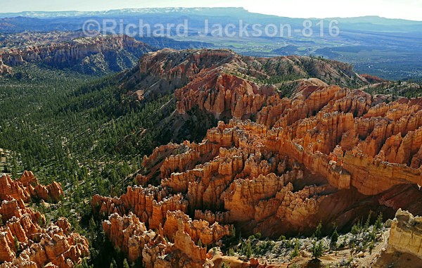 The Glowing Hoodoos of Bryce - Bryce Canyon National Pk.- 2011
