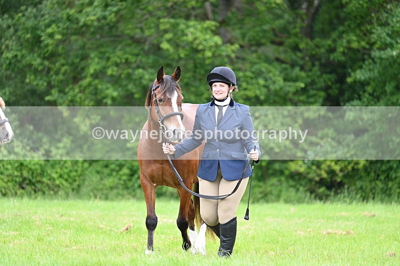 WJ7_4363 - Class 14B Prettiest Mare