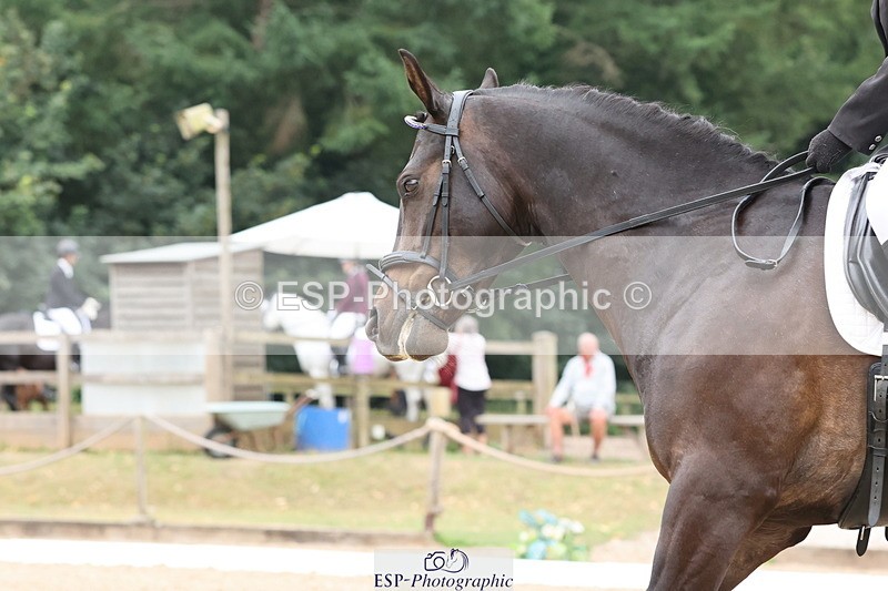 250718A-101543-00499 - 011-Grace.Nicholson-Berch.paradise