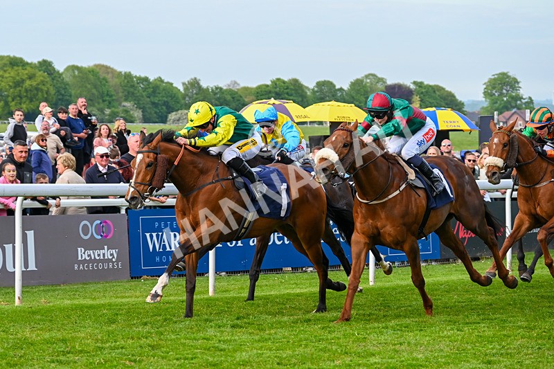 040526-Race 8-Coolree-4365 - Race 8