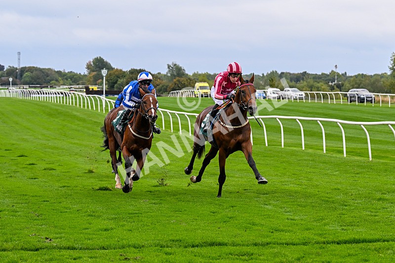 011025-Race 3-Real American-0246 - Race 3