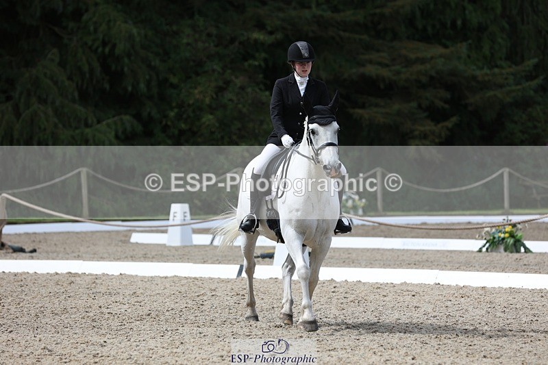 230812-113057-03785 - Cls 5 Novice Bronze 11.15 to 12.50 break