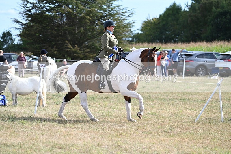 WJ7_7483 - Class 14 Ridden Coloured