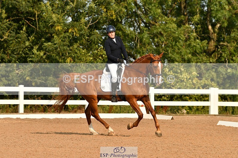 250817-090041-06722 - 080-Elizabeth.StoneZiggy