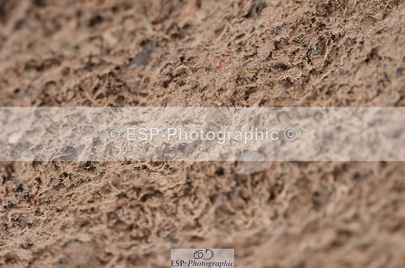 231029A-103448-02331 - 70cm Pony Intro