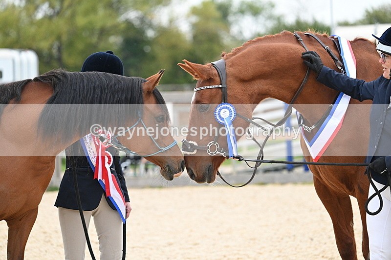 WJ7_1994 - Class 1 & Champs