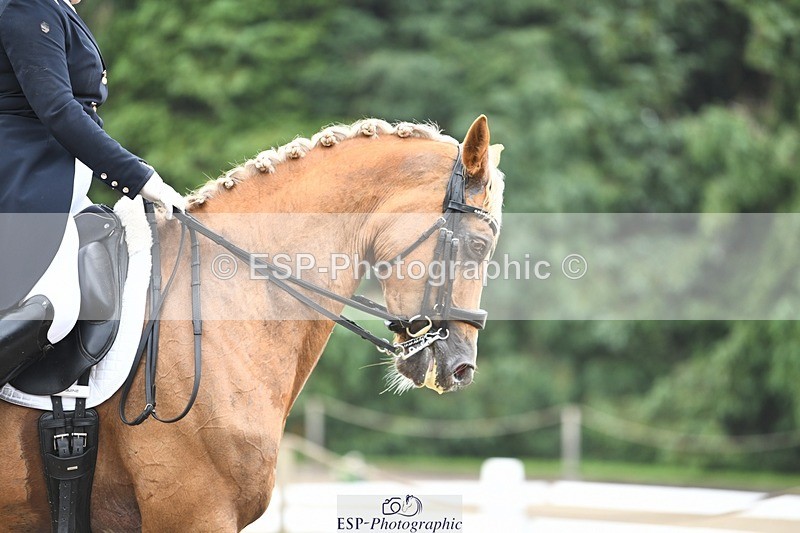 240720-160653-06397 - 187-Clare_Smith-Dori_Dragon_Fly
