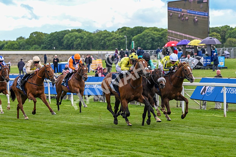 140526-Race 6-Dickensian-5800 - Race 6 4.40pm British Stallion Studs EBF Westow Stakes