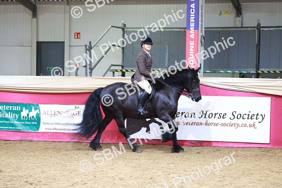 SBM_06196 - Class 12R - Ridden Pre-Vet