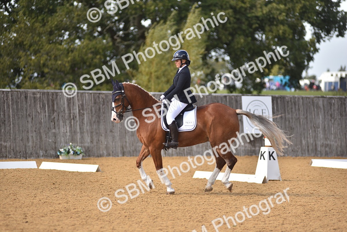 SBM_07823 - D15 - Small Tour Championship Novice 1