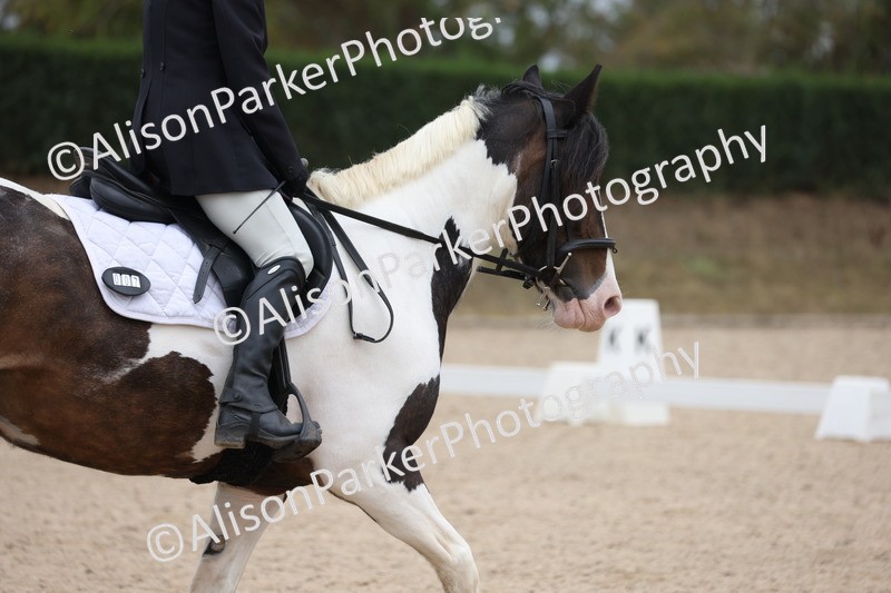 20250819-1169 - Class 3 - Prelim 2