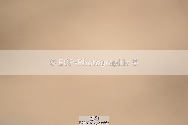 250214-131836-01806 - 156-Alexander.Harrison-Mount.St.John.Diamonds.Are.Forever