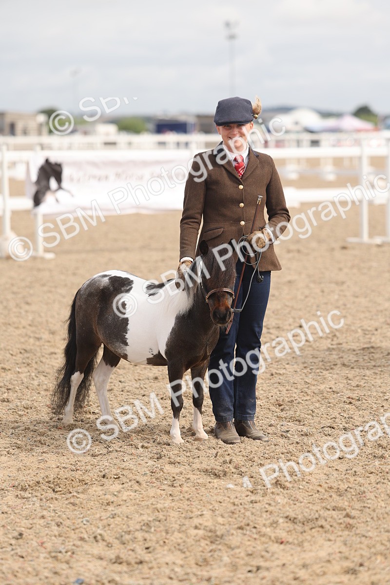 SBM_04565 - Class 19 - Horse/Pony Judge would most like to take home