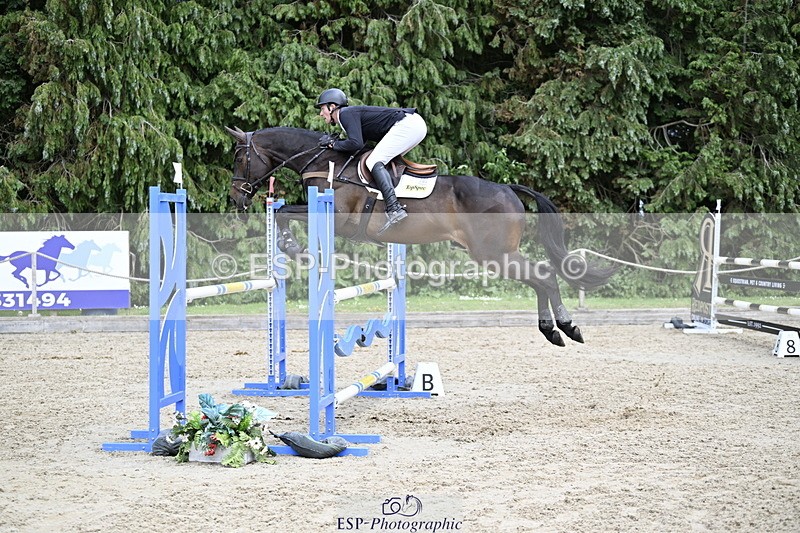 250525A-150319-18076 - C-264-Max.Warburton-EARL.DORADO