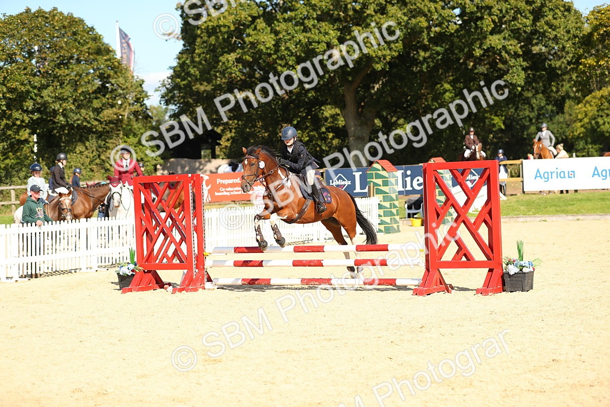 SBM_24305 - J45 - Accumulator 70 80cm