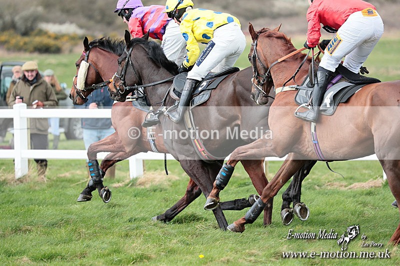 PtP 230324 414 - Tedworth Hunt PtP Larkhill Raccourse 23rd March 2024