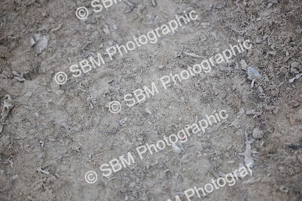 SBM_005819 - Evening Performance