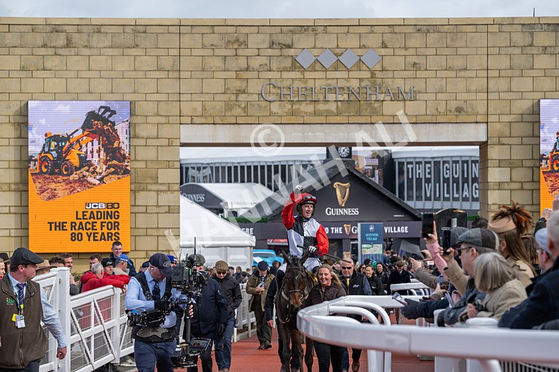 130326-Race 1-Apolon De Charnie-1399 - 13th March