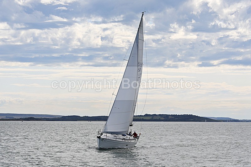 190729 SEA BADGER GBR9483T 1Y3A6699 - 190729 SEA BADGER GBR9483T