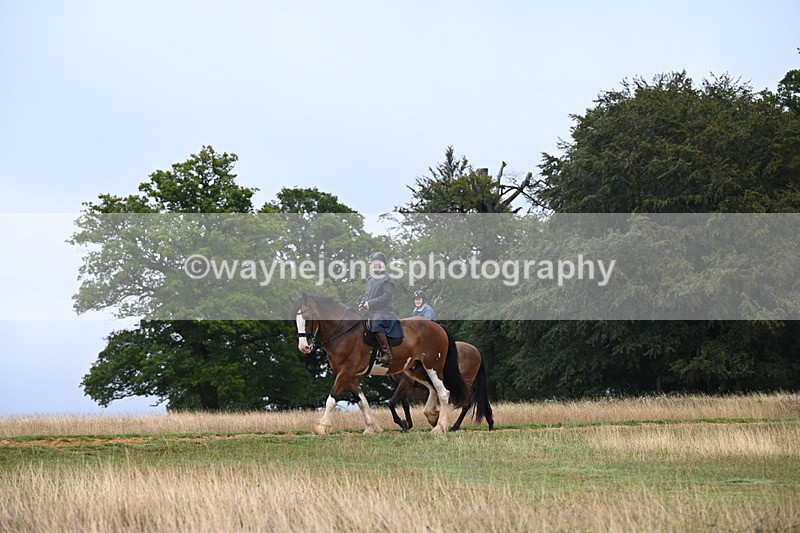DSC_2006 - Time at Statue 12:13 to 12:32