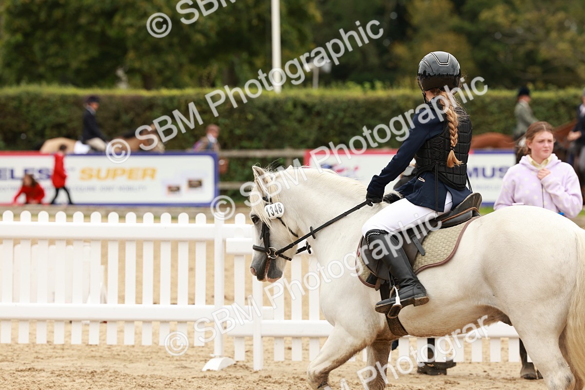 SBM_63776 - J12 - Junior Pony 55cm Championship