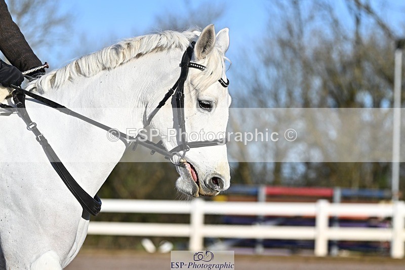 250125-093809-00074 - Dressage - CT Class 3 BE92