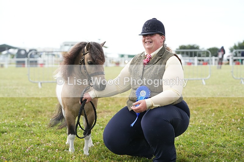 DSC04647 - Class 46: NPS Shetland Youngstock