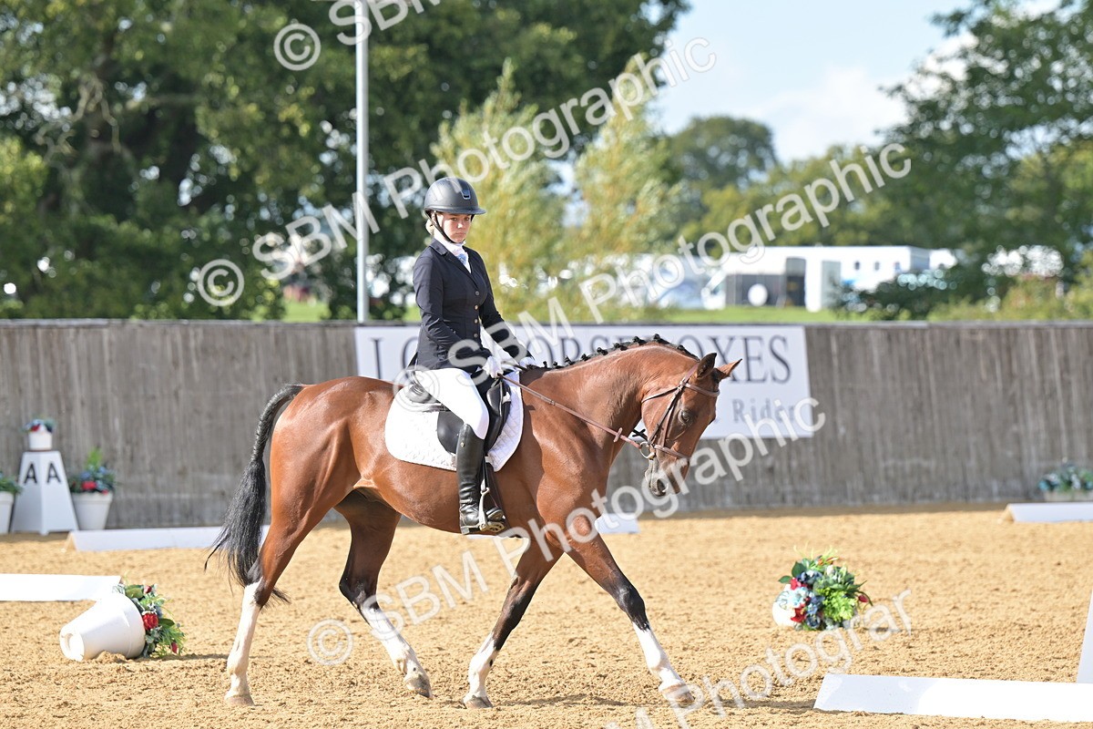 SBM_11111 - D3 - Small Tour Championship Intro 3